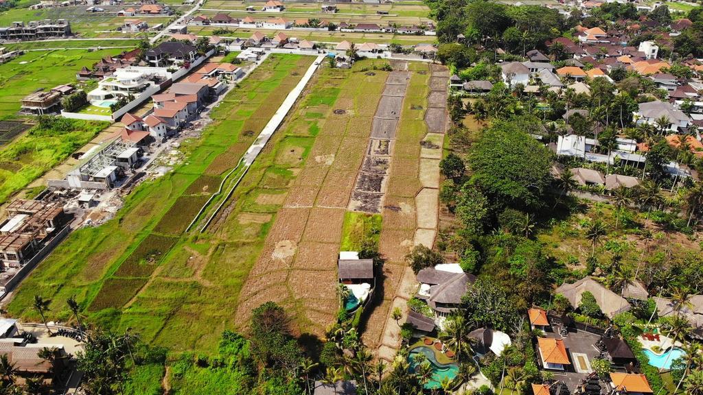 Land for Sale in Seseh, Bali | Beachfront Access | Ideal for Development image